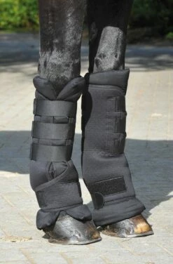 BUSSE Stable Boots PROTECT