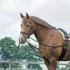 BUSSE Standing Draw-Reins BASIC