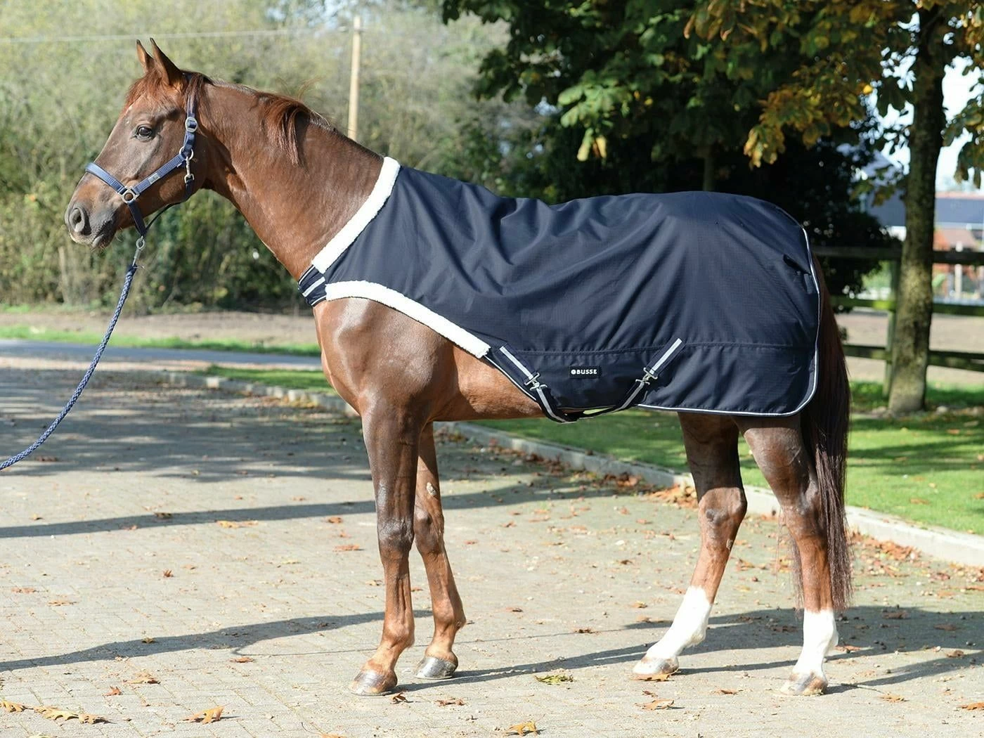 BUSSE TRAINER 50 Walker Rug, Navy 1 BUSSE TRAINER 50 Walker Rug, Navy