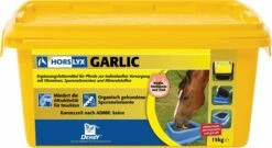 DERBY Horslyx Garlic