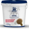 DERBY Vital