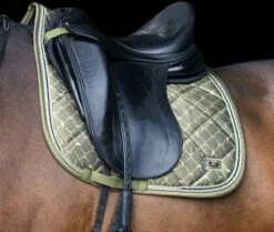 HV Polo Dressage Saddle Pad - HVPWelmoed Shine DR -Pet Supplies Sales Shop dressage saddle pad hvpwelmoed shine dr dark oil green 838290 en