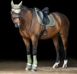 HV Polo Dressage Saddle Pad - HVPWelmoed Shine DR -Pet Supplies Sales Shop dressage saddle pad hvpwelmoed shine dr dark oil green 838301 en