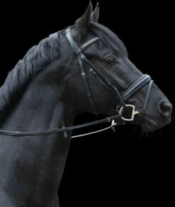 Sprenger Dynamic RS WH ULTRA Olive Head Bit With D-Shaped Ring, 16 Mm, Double Jointed, SENSOGAN -Pet Supplies Sales Shop dynamic rs wh ultra olive head bit with d shaped ring 16 mm double broken sensogan 703559 en