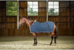 Dy'on Sweat Rug, Navy