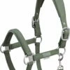 ESKADRON DOUBLEPIN LEATHER Halter, Ash Green
