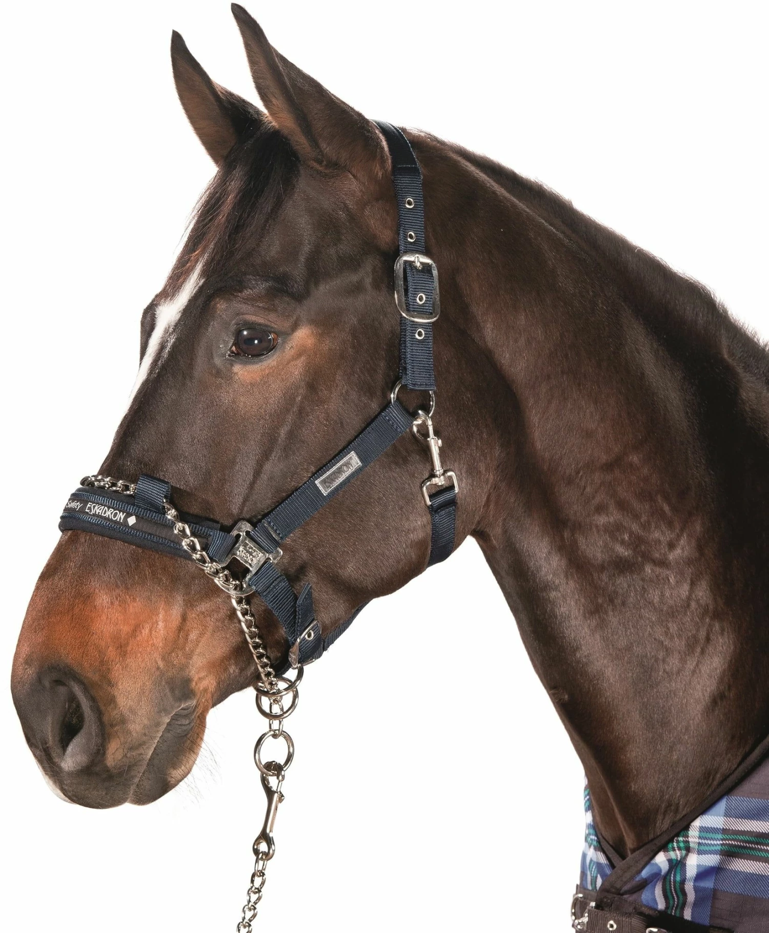 ESKADRON Halfter Control Incl. BASIC Lead Chain 2 ESKADRON Halfter Control Incl. BASIC Lead Chain - Image 2