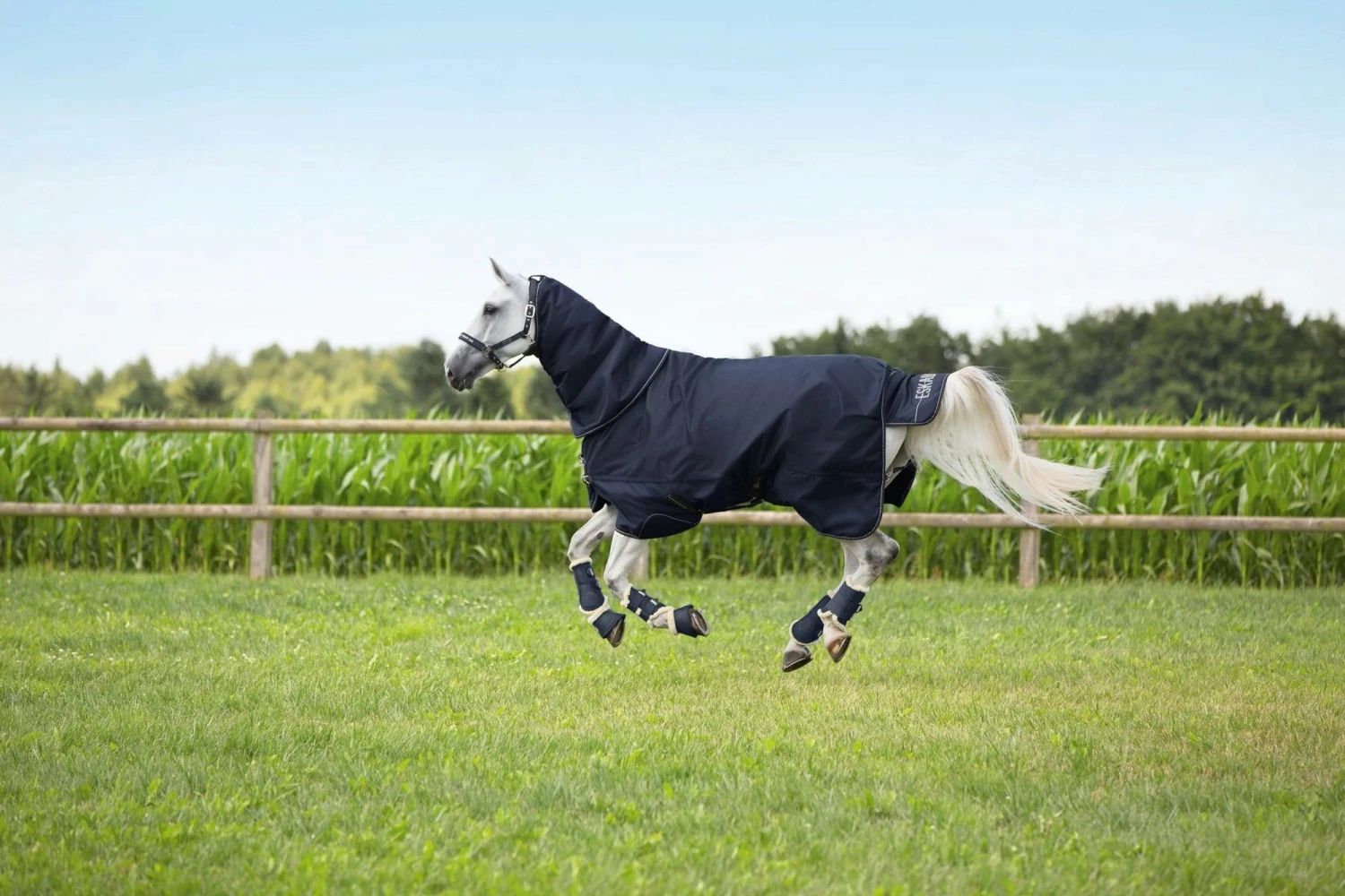 ESKADRON Outdoor Rug "OMEGA 1680" 250 G 2 ESKADRON Outdoor Rug "OMEGA 1680" 250 G - Image 2