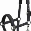 ESKADRON PIN-BUCKLE Halter, Deep Grey
