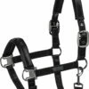 ESKADRON SHINEGLOSS Halter, Black