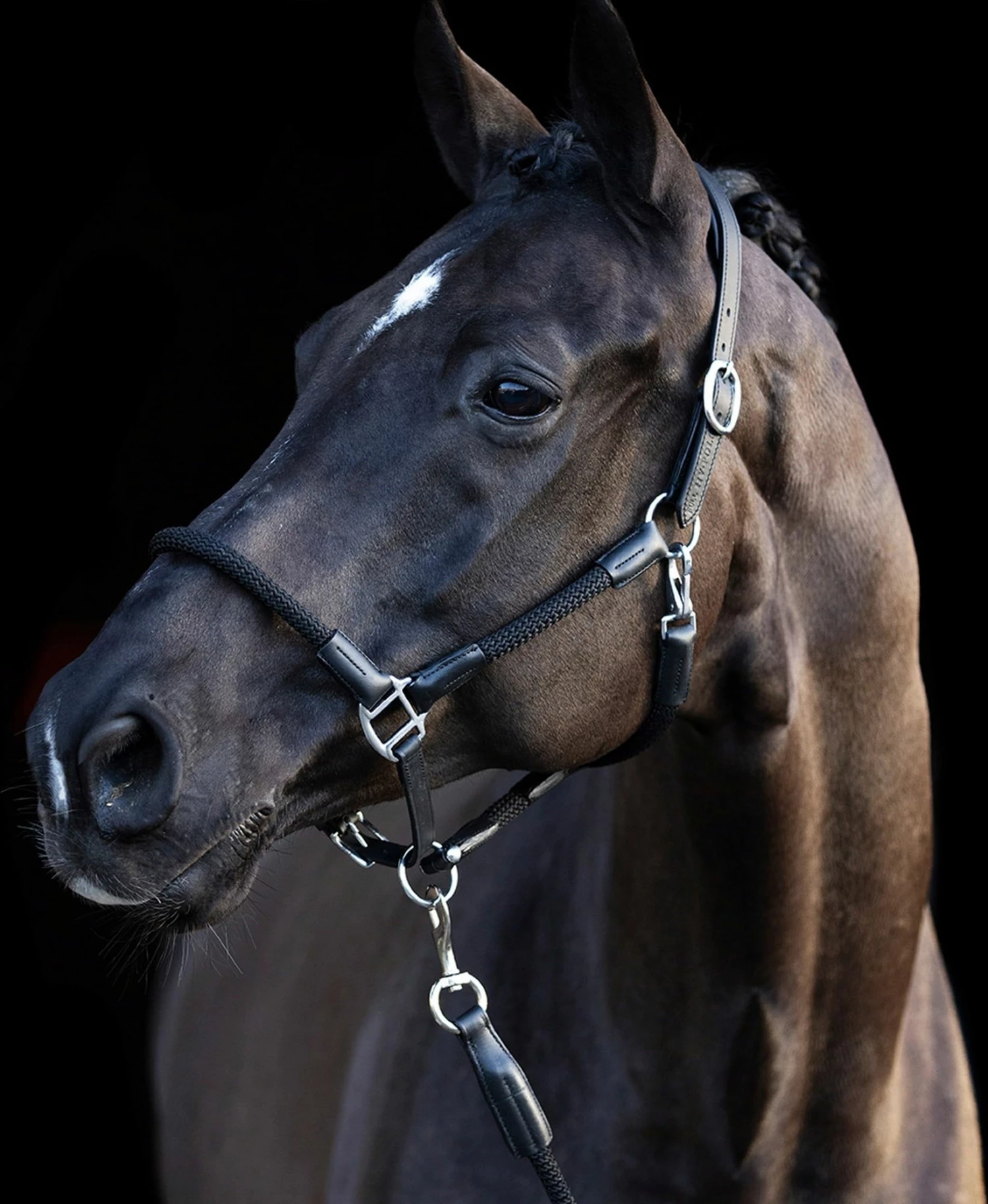 HV Polo Halter - HVPFranka, Black 2 HV Polo Halter - HVPFranka, Black - Image 2