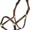 HV Polo Halter - HVPLegacy, Brown