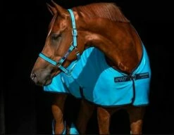 Horseware Ireland Amigo Halter "Delphinium Blue"