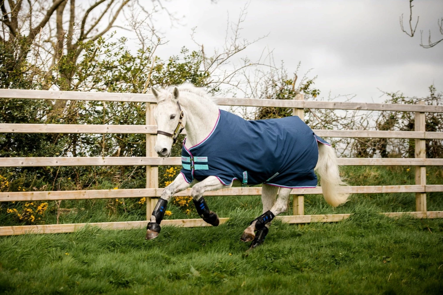 Horseware Ireland Amigo Hero 900 Pony, 0g, Dark Blue 1 Horseware Ireland Amigo Hero 900 Pony, 0g, Dark Blue