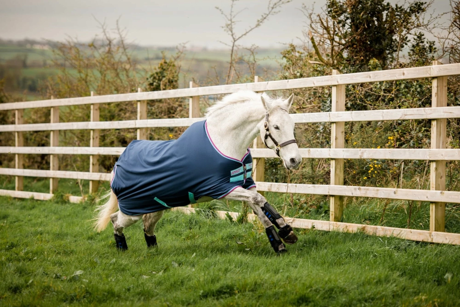 Horseware Ireland Amigo Hero 900 Pony, 0g, Dark Blue 2 Horseware Ireland Amigo Hero 900 Pony, 0g, Dark Blue - Image 2