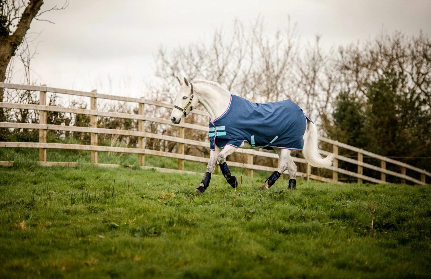 Horseware Ireland Amigo Hero 900 Pony, 0g, Dark Blue 3 Horseware Ireland Amigo Hero 900 Pony, 0g, Dark Blue - Image 3