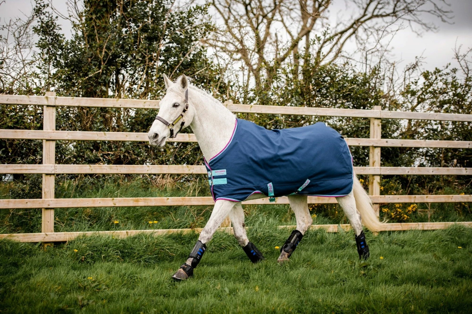 Horseware Ireland Amigo Hero 900 Pony, 0g, Dark Blue 4 Horseware Ireland Amigo Hero 900 Pony, 0g, Dark Blue - Image 4