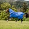 Horseware Ireland Amigo Hero Ripstop Plus 100 G Outdoor Rug, Blue/Navy & Grey