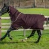 Horseware Ireland Amigo Hero Ripstop Plus 100g Fig/Navy/Tan