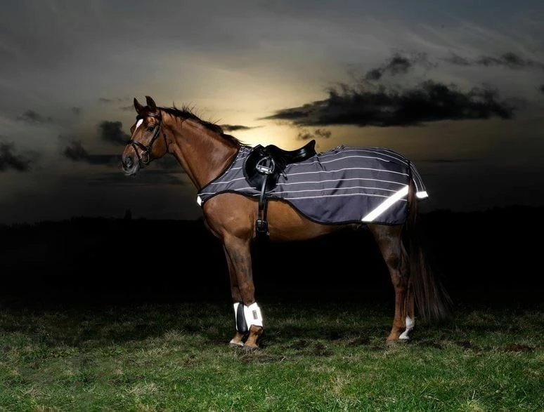Horseware Ireland Amigo Reflectech Comp Sheet Grey/Black 2 Horseware Ireland Amigo Reflectech Comp Sheet Grey/Black - Image 2