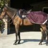 Horseware Ireland Amigo Ripstop Competition "Fig"