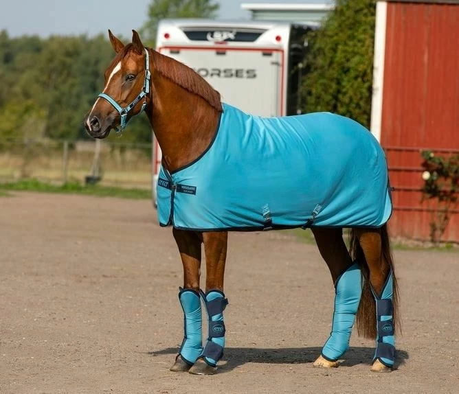 Horseware Ireland "Delphinium Blue" Amigo Transport Gaiters, Ripstop 3 Horseware Ireland "Delphinium Blue" Amigo Transport Gaiters, Ripstop - Image 3