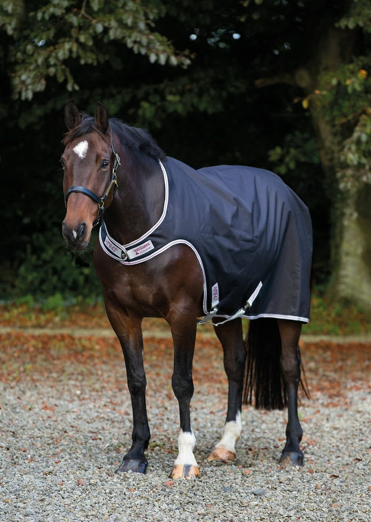 Horseware Ireland Amigo Walker 100g Black/Silver/Red 1 Horseware Ireland Amigo Walker 100g Black/Silver/Red