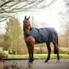 Horseware Ireland Amigo Walker 100g, Navy/White