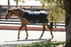 Horseware Ireland Amigo Walker 200g