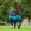 Horseware Ireland Mio Turnout Lite