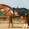 Horseware Ireland "Navy" Amigo Ripstop Competition Sheet