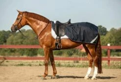 Horseware Ireland "Navy" Amigo Ripstop Competition Sheet