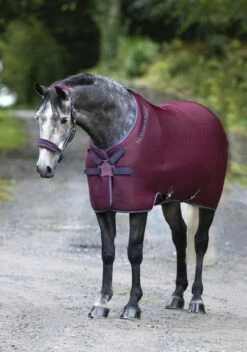 Horseware Ireland Rambo Airmax Cooler Disc, Front, Burgundy