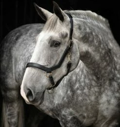 Horseware Ireland Rambo Micklem Headcollar - Black