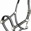 HV Polo HVPClassic Stripe Halter, Warmbloods