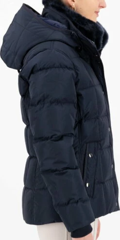 HV Polo Jacket - HVPJacky, Navy -Pet Supplies Sales Shop jacket hvpjacky navy xl 837881 en