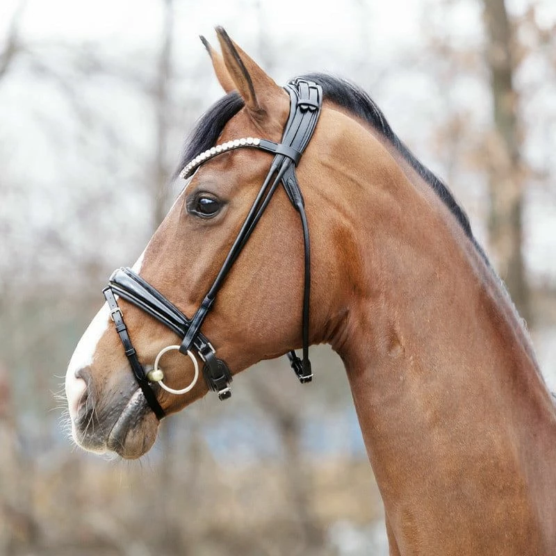 Kavalkade "Florina" Black Bridle 2 Kavalkade "Florina" Black Bridle - Image 2