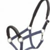 Kavalkade KavalLastic Safety Halter - Marine