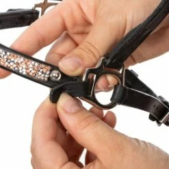 Kavalkade "Kjartan" Icelandic Bridle Ferskja Nosepiece For Hanoverian Noseband -Pet Supplies Sales Shop kavalkade kjartan icelandic bridle ferskja nosepiece for hanoverian noseband 689838 en