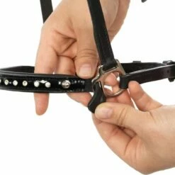 Kavalkade "Kjartan" Icelandic Bridle Nosepiece Glansandi For Hanoverian Noseband -Pet Supplies Sales Shop kavalkade kjartan icelandic bridle nosepiece glansandi for hanoverian noseband 689803 en