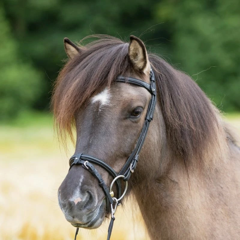Kavalkade "Kjartan" Icelandic Bridle Strinband Fleginn 2 Kavalkade "Kjartan" Icelandic Bridle Strinband Fleginn - Image 2