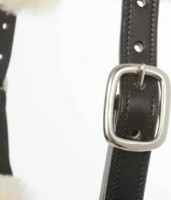 Kavalkade "Marvelous" Leather Halter With Lambskin, Black 12 Kavalkade "Marvelous" Leather Halter With Lambskin, Black -Pet Supplies Sales Shop kavalkade marvelous leather halter with lambskin black 675903 en