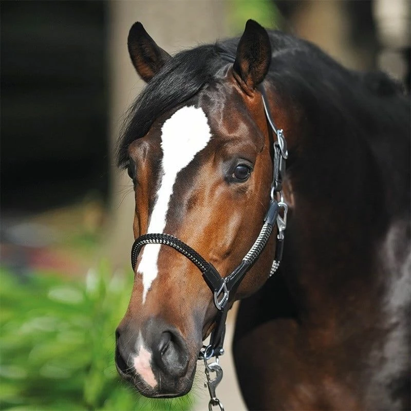 Kavalkade Rope Halter Set Cavo - Black/Black-Grey 2 Kavalkade Rope Halter Set Cavo - Black/Black-Grey - Image 2