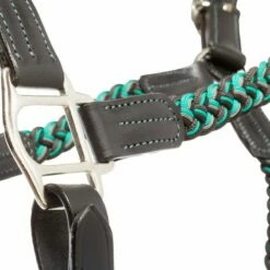 Kavalkade "Tessa" Braided Halter, Black-Anthracite-Grey-Turquoise -Pet Supplies Sales Shop kavalkade tessa braided halter black anthracite grey turquoise 678716 en