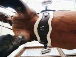 Kentucky Horsewear Anatomical Lambskin Short Girth "Brown" -Pet Supplies Sales Shop kentucky horsewear anatomical lambskin short girth brown 565044 en