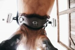 Kentucky Horsewear Anatomical Lambskin Short Girth "Brown" -Pet Supplies Sales Shop kentucky horsewear anatomical lambskin short girth brown 565054 en