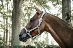 Kentucky Horsewear Anatomical Suede Halter - Grey -Pet Supplies Sales Shop kentucky horsewear anatomical suede halter grey 554499 en