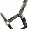 Kentucky Horsewear Braided Nylon Halter - Grey
