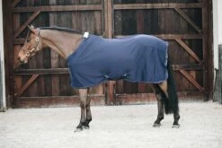 Kentucky Horsewear Cooler Fleece Rug - Navy -Pet Supplies Sales Shop kentucky horsewear cooler fleece rug 515879 en