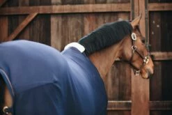 Kentucky Horsewear Cooler Fleece Rug - Navy -Pet Supplies Sales Shop kentucky horsewear cooler fleece rug 515899 en